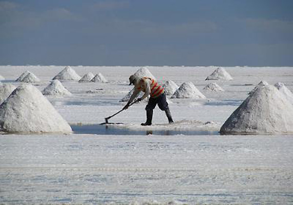 sambhar salt lake, sambhar salt lake jaipur, sambhar salt lake resort, sambhar salt lake hotels, sambhar salt lake exact location, sambhar salt lake rajasthan, wedding destinations in jaipur, top wedding destinations in jaipur, wedding destinations,