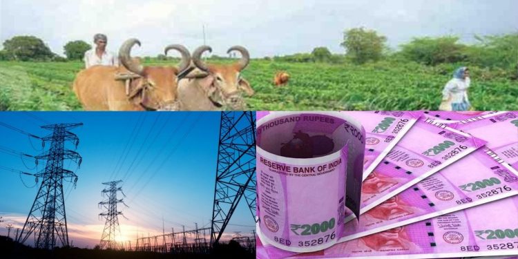 CM, Ashok Gehlot, agricultural consumers, Rajasthan, electricity , Rajasthan Government,