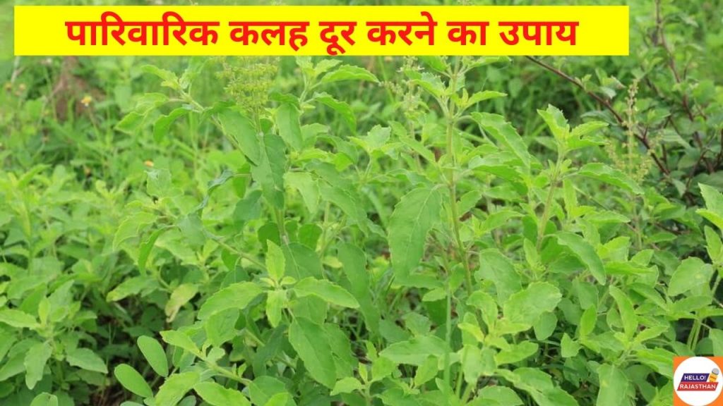 Money Problems , Money Problems ,How to earn Money, Best Family , How to solve family Problem, Tulsi,