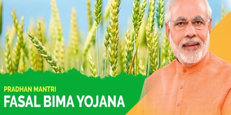 PM Fasal Bima Yojana, PMFBY Claim Intimation, PMFBY, crop insurance, Farmers News, KCC, pm fasal bima yojana, PM Fasal Bima Yojana, pmfby, KCC, kisan credit card, Bank news, Crop Insurance, पीएम फसल बीमा योजना, केसीसी, किसान क्रेडिट कार्ड, बैंक समाचार, किसान समाचार, Pradhan Mantri Fasal Bima Yojana (PMFBY), PM Fasal Bima Yojana, Crop Insurance, Agriculture Department, Insurance Company, Universal Sompo General insurance,