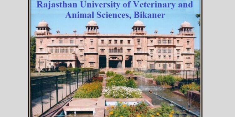 Veterinary University, Veterinary, University, academic, vacancies, Bikaner, Recruitment,