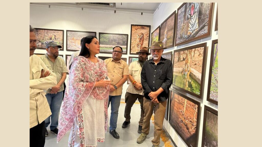 MP Diya Kumari, exhibition, photographers, tigers, Diya Kumari, International Tigers Day, Jaipur Jawahar Kala Kendra,