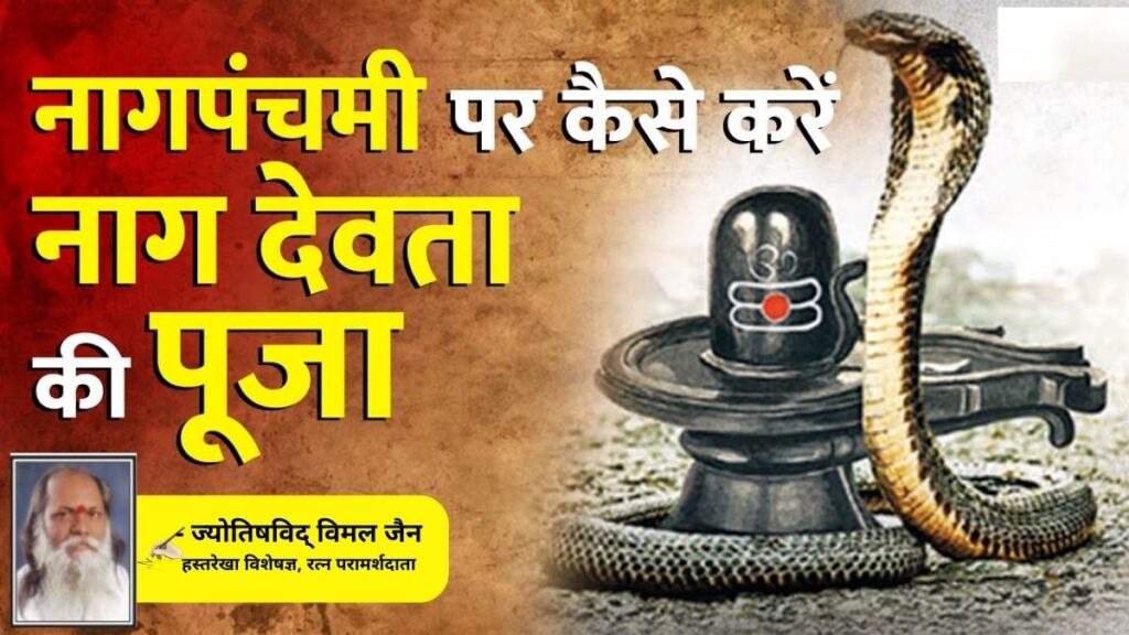 Nag Panchami 2023, Nag Panchami, Nag Panchami 2023 date and time, Nag Panchami 2023 upay, Kaal Sarp Dosh, Kaal Sarp, Kaal Sarp Dosh Ke Upay Kya Hai, Kaal Sarp Dosh Ke Upay, नाग पंचमी 2023 तिथि, नाग पंचमी 2023 पूजन विधि, नाग पंचमी 2023 शुभ मुहूर्त,