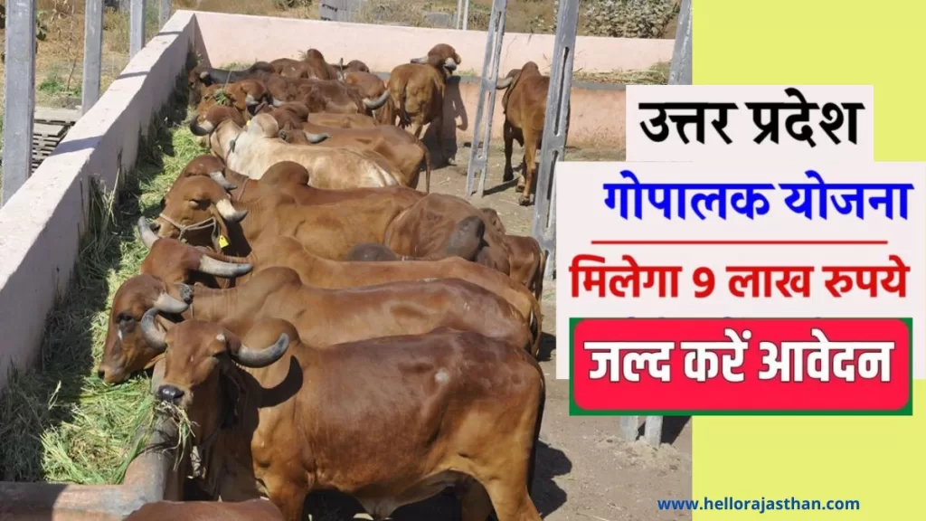 UP Gopalak Yojana, UP Gopalak Yojana 2023,How to Loan for Dairy Farm, UP Gopalak Yojana me Kaise Apply Krein, How to apply for UP Gopalak Yojana,Dairy Farm Loan, यूपी गौपालक योजना 2023,ऑनलाइन फॉर्म pdf, रजिस्ट्रेशन, पात्रता, दस्तावेज, अधिकारिक वेबसाइट, हेल्पलाइन नंबर, Online Form pdf, Registration, Eligibility, Documents, Official Website, Helpline Number, Latest News, Last Date