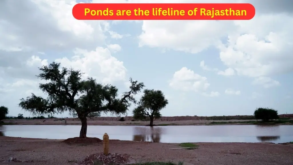 Ponds,lifeline,Rajasthan, Adani Foundation, restore, water,Jaisalmer