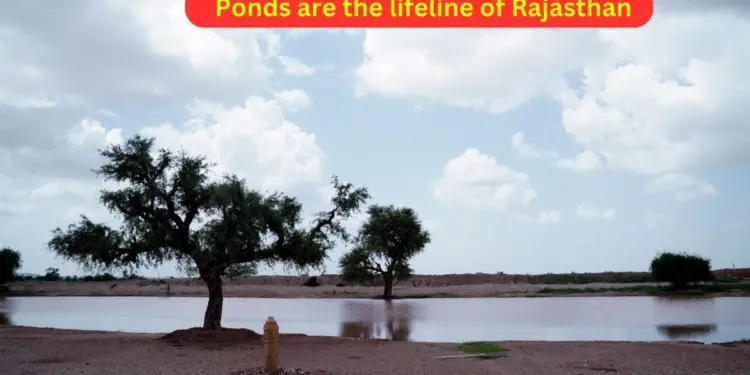 Ponds,lifeline,Rajasthan, Adani Foundation, restore, water,Jaisalmer