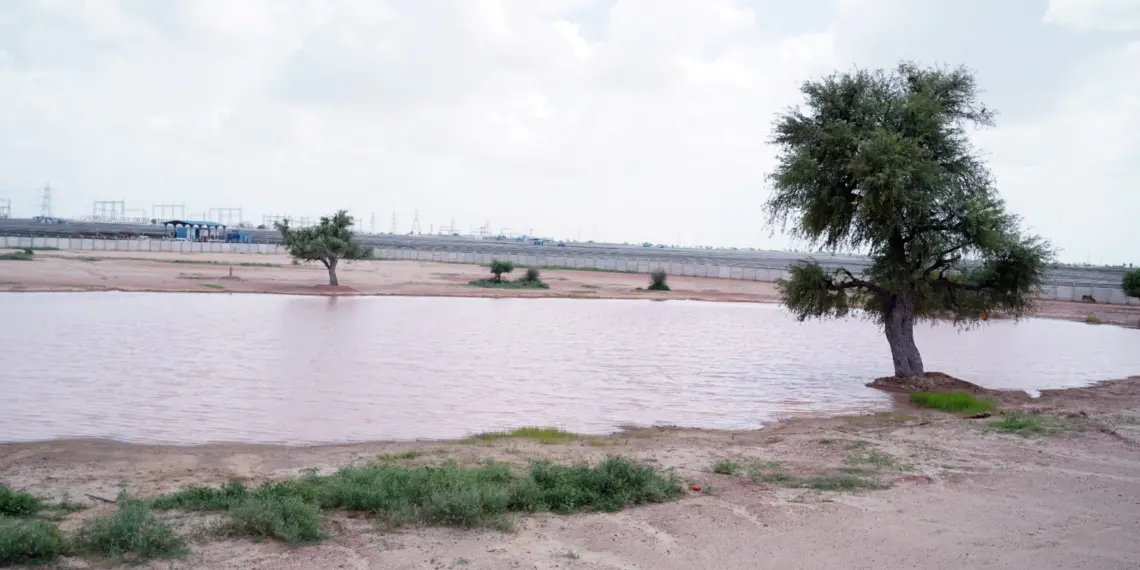 Ponds,lifeline,Rajasthan, Adani Foundation, restore, water,Jaisalmer