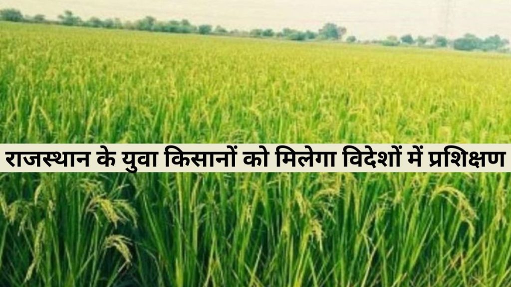 Farmers, Knowledge Enhancement Program Rajasthan,Bhajan Lal Sharma,Rajasthan Farmers,Rajasthan News,Rajasthan Farmer Training