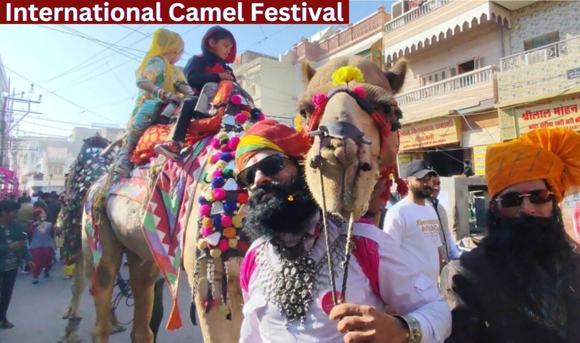 International Camel Festival starts in Bikaner, International Camel Festival, Camel Festival, tourists, domestic and foreign tourists, International Camel Festival 2025,