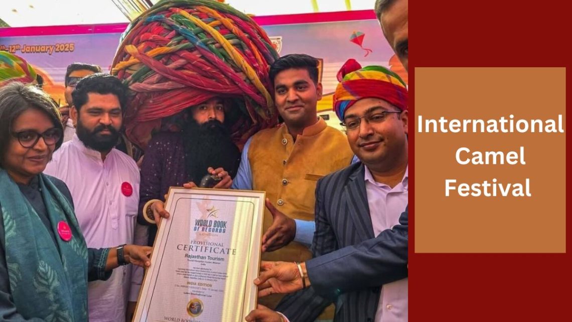 International Camel Festival starts in Bikaner, International Camel Festival, Camel Festival, tourists, domestic and foreign tourists, International Camel Festival 2025,