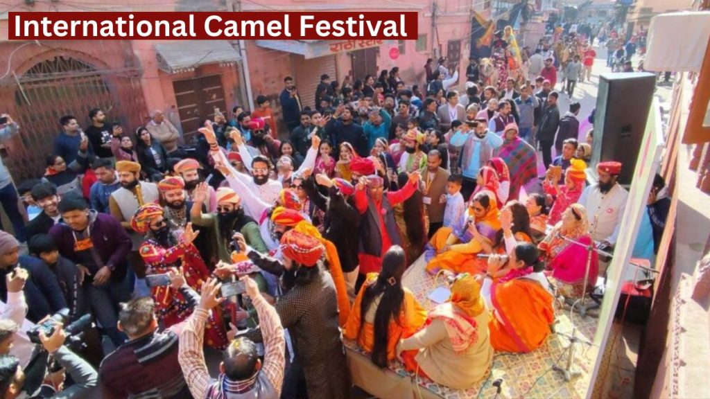 International Camel Festival starts in Bikaner, International Camel Festival, Camel Festival, tourists, domestic and foreign tourists, International Camel Festival 2025,