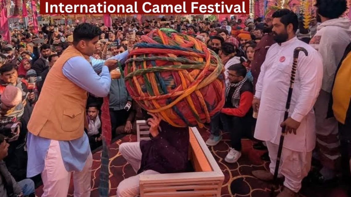 International Camel Festival starts in Bikaner, International Camel Festival, Camel Festival, tourists, domestic and foreign tourists, International Camel Festival 2025,
