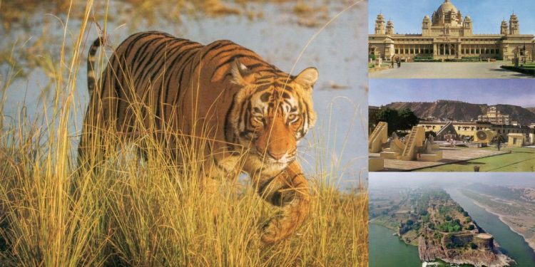 Rajasthan, Tourism, global Tourism destination, wedding hub, Diya Kumari , Rajasthan Tourism,