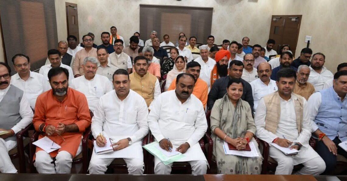 Nayab Saini, Haryana Election, historic victory, BJP, Nayab Saini Haryana News, Nayab Saini CM Haryana,