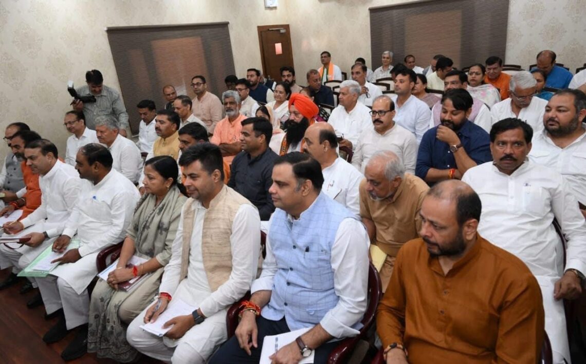 Nayab Saini, Haryana Election, historic victory, BJP, Nayab Saini Haryana News, Nayab Saini CM Haryana,
